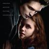 Various Artists - Twilight -  Vinyl Record