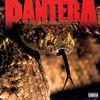Pantera - Great Southern Trendkill -  Vinyl Record