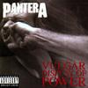 Pantera - Vulgar Display Of Power -  180 Gram Vinyl Record