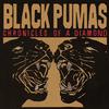 Black Pumas - Chronicles Of A Diamond -  Vinyl Record