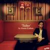 Jamie Cullum - Taller -  Vinyl Record