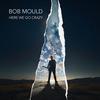 Bob Mould - Here We Go Crazy -  Vinyl Record