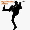 Bryan Adams - Classic -  Vinyl Record
