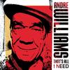 Andre Williams - That's All I Need -  Vinyl Record
