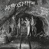 Aerosmith - Night In The Ruts -  180 Gram Vinyl Record