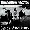 Beastie Boys - Check Your Head -  180 Gram Vinyl Record