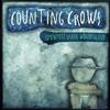Counting Crows - Somewhere Under Wonderland -  Vinyl Record
