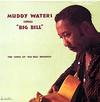 Muddy Waters - Muddy Waters Sings 