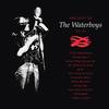 The Waterboys - The Best Of The Waterboys '81-'90 -  Vinyl Record