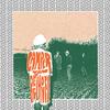 Camper Van Beethoven - Telephone Free Landslide Victory -  Vinyl Record