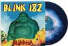 Blink-182 - Buddah -  Vinyl Record