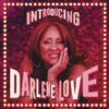 Darlene Love - Introducing Darlene Love -  Vinyl Record