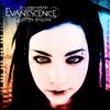 Evanescence - Fallen -  Vinyl Record
