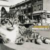 Billy Bragg & Wilco - Mermaid Avenue Vol. II -  180 Gram Vinyl Record
