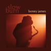 Boney James - Slow Burn -  Vinyl Record