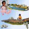 Esperanza Spalding - Esperanza -  Vinyl Record