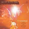 Sharon Jones and The Dap-Kings - Soul Of A Woman -  Vinyl Record