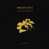 Bright Eyes - Digital Ash In A Digital Urn: A Companion -  Vinyl Record