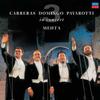 Luciano Pavarotti, Plácido Domingo, José Carreras and Zubin Mehta - The Three Tenors 25th Anniversary -  Vinyl Record