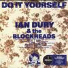 Ian Dury & The Blockheads - Do It Yourself -  Vinyl Record