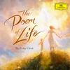 Yu-Peng Chen - The Poem Of Life -  45 RPM Vinyl Record