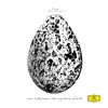 Snorri Hallgrimsson - The Importance Of Birds -  Vinyl Record