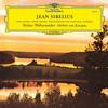 Herbert von Karajan - Sibelius: Finlandia, Valse Triste, The Swan of Tuonela, Tapiola -  180 Gram Vinyl Record