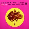 Sun Ra and The Arkestra - Sound of Joy -  Vinyl Record