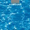 Hiroshi Yoshimura - Surround -  Vinyl Record