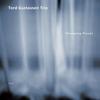 Tord Gustavsen Trio - Changing Places -  Vinyl Record