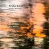 Avishai Cohen - Ashes To Gold -  Music