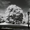 Larry Grenadier - The Gleaners -  Vinyl Record