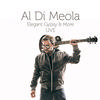 Al Di Meola - Elegant Gypsy & More Live -  Vinyl Record