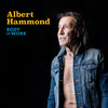 Albert Hammond - Body Of Work -  Vinyl Record