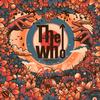 The Who - Live At Eden Project 25/07/2023 -  Vinyl Record