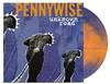 Pennywise - Unknown Road -  Vinyl Record