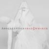 Apocalyptica - Shadowmaker -  Vinyl Record & CD