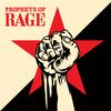 Prophets Of Rage - Prophets Of Rage -  180 Gram Vinyl Record
