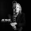Joe Walsh - Analog Man -  Vinyl Record
