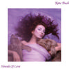 Kate Bush - Hounds Of Love -  180 Gram Vinyl Record