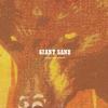 Giant Sand - Purge & Slouch -  Vinyl Record