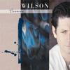Brian Wilson - Brian Wilson -  180 Gram Vinyl Record