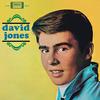 Davy Jones - David Jones -  180 Gram Vinyl Record