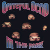Grateful Dead - In The Dark -  Vinyl Record