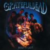 Grateful Dead - Built To Last -  Vinyl Record