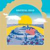 Grateful Dead - Saint Of Circumstance: Giants Stadium, East Rutherford, NJ 6/17/91 (Live) -  Vinyl Record