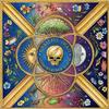 Grateful Dead - Merriweather 6/30/85 -  180 Gram Vinyl Record