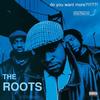 The Roots - Do You Want More?!!!??! -  Vinyl Box Sets