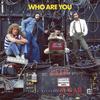 The Who - Who Are You -  180 Gram Vinyl Record