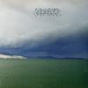 Modest Mouse - The Fruit That Ate Itself -  Vinyl Record